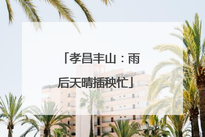 孝昌丰山：雨后天晴插秧忙